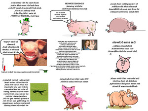 Du armes Schwein