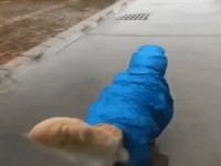 Klasse Regen-Outfit