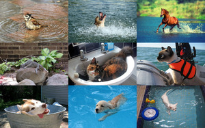 klicke hier, um die Datei herunterzuladen Cooling Off 2 - Abkühlen 2