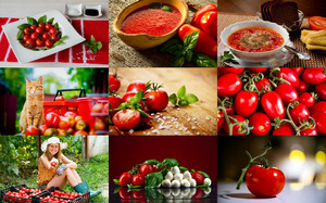 Tomatoes 1 - Tomaten 1