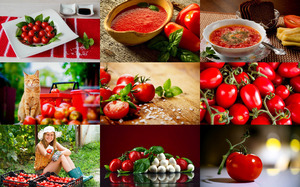 klicke hier, um die Datei herunterzuladen Tomatoes 1 - Tomaten 1