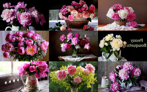 Peony Bouquets - Pfingstrosenstrue