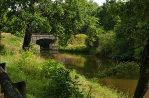 Impressionen aus Frankreich 1