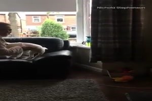 Er will auf das Sofa
