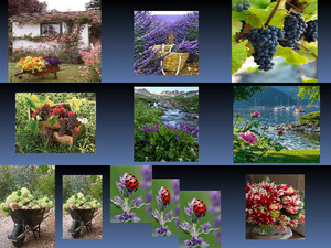 klicke hier, um die Datei herunterzuladen Beautyful Blumen Mix
