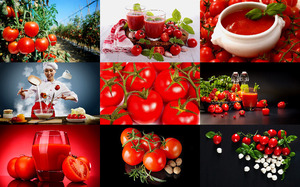 klicke hier, um die Datei herunterzuladen Tomatoes 2 - Tomaten 2