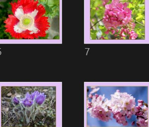 Fleurs 5 - Blumen 5