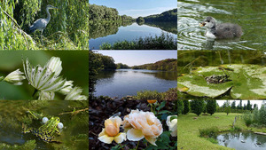 klicke hier, um die Datei herunterzuladen The Beginning Of The Day - Der Beginn des Tages