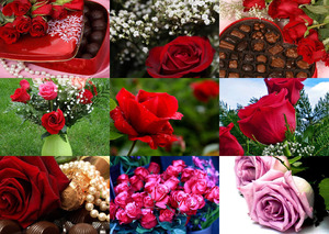 klicke hier, um die Datei herunterzuladen Roses Flavour - Rosen Geschmack