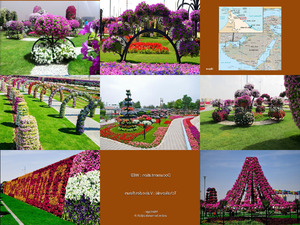 klicke hier, um die Datei herunterzuladen Jardins de Dubai