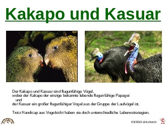 ungewhnliche Tiere - Kakapo und Kasuar