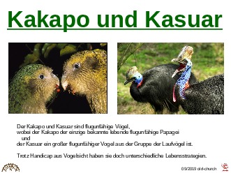 klicke hier, um die Datei herunterzuladen ungewöhnliche Tiere - Kakapo und Kasuar