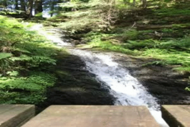View Schönen Sonntag Morgen Gif Bilder Pics