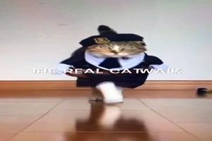 The real Catwalk