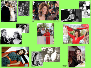 Sophia Loren 85