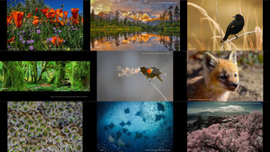 klicke hier, um die Datei herunterzuladen Photo of The Day from Outdoor Photographer - Foto des Tages