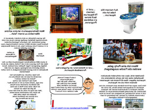 klicke hier, um die Datei herunterzuladen Das Aquarium dient zur Entspannung des Geistes