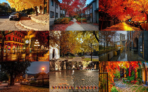 Autumn Streets - Herbststraen