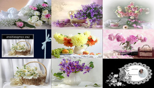 Les Compositions florales - Blumenkompositionen