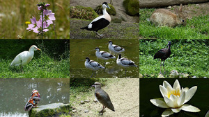 Natuurlijk in de natuur - Natrlich in der Natur