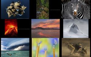 klicke hier, um die Datei herunterzuladen The Nature Conservancy 2019 Photo Contest - Winners -