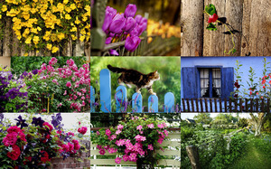 klicke hier, um die Datei herunterzuladen Floral Fences - Blumenzäune