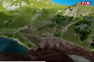 Adlerflug ber die Alpen