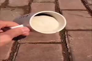 Ich bleib drin