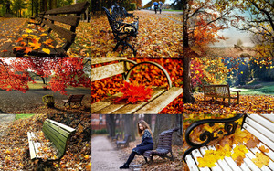 Autumn Benches - Herbstbnke
