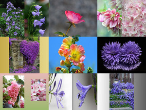 klicke hier, um die Datei herunterzuladen La Terre sourit avec des Fleurs- Die Erde lächelt mit Blumen