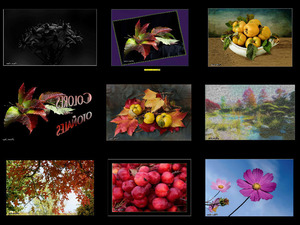 klicke hier, um die Datei herunterzuladen Colores Otoñales - Herbstfarben