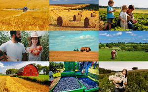 klicke hier, um die Datei herunterzuladen Farm 1 - Bauernhof 1