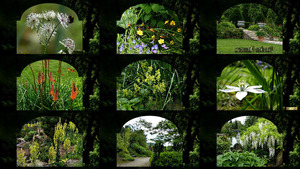 klicke hier, um die Datei herunterzuladen Garden Flowers - Gartenblumen