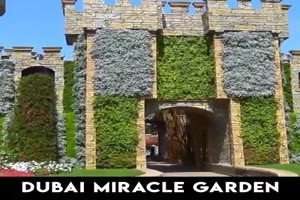 Dubai Miracle Garten