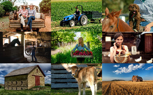klicke hier, um die Datei herunterzuladen Farm 2 - Bauernhof 2