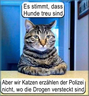 Hunde sind treu