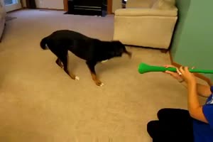 Vuvuzela Hund