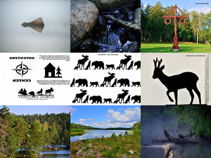 klicke hier, um die Datei herunterzuladen FvK - Schweden - ueberwiegend Natur 2