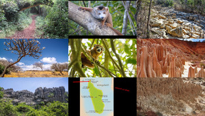 klicke hier, um die Datei herunterzuladen Ankarana Madagaskar
