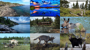 klicke hier, um die Datei herunterzuladen Isle Royale - Michigan USA