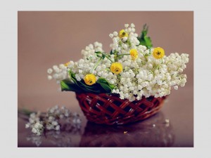 klicke hier, um die Datei herunterzuladen Les fleurs de Valentina Koribut 2 - Die Blüten von Valentina