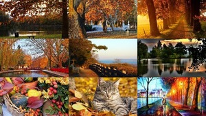 klicke hier, um die Datei herunterzuladen Outono - Herbst
