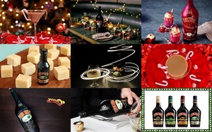klicke hier, um die Datei herunterzuladen Baileys