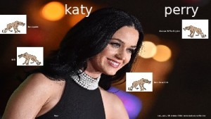 klicke hier, um die Datei herunterzuladen katy perry 001