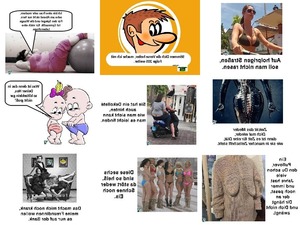 klicke hier, um die Datei herunterzuladen Knittelverse Nr. 204