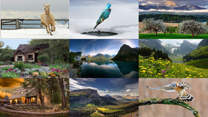 klicke hier, um die Datei herunterzuladen wunderschoene Naturaufnahmen