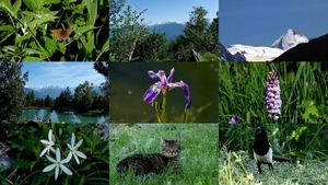 klicke hier, um die Datei herunterzuladen Wanderung am Morgen