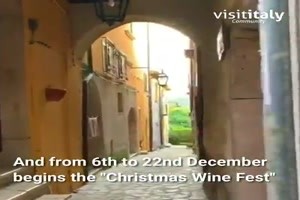 Weihnachts Wein Fest