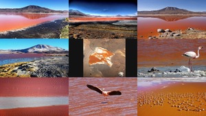 Laguna Colorada - Bolivia