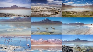 Laguna Blanca - Bolivia